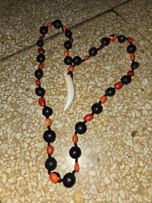Collier de protection, dent de sanglier d'Amazonie.
