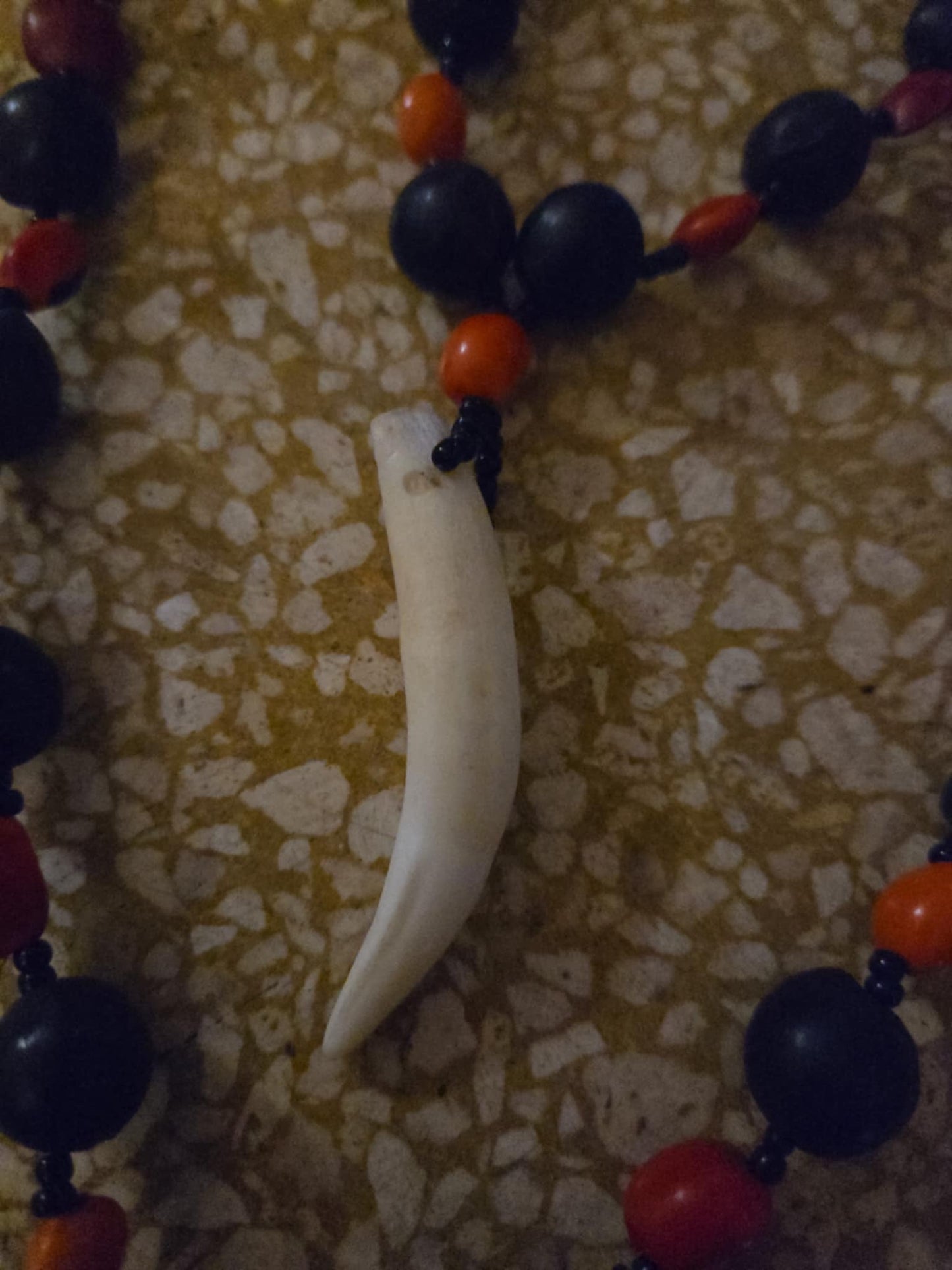 Collier de protection, dent de sanglier d'Amazonie.