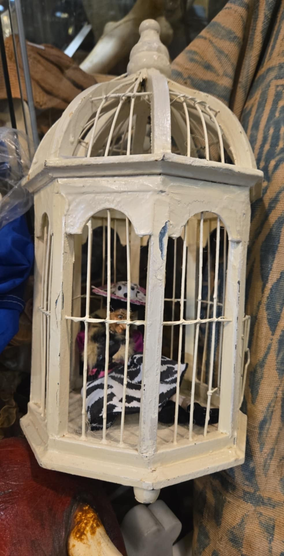 Poupée lilliputienne en cage