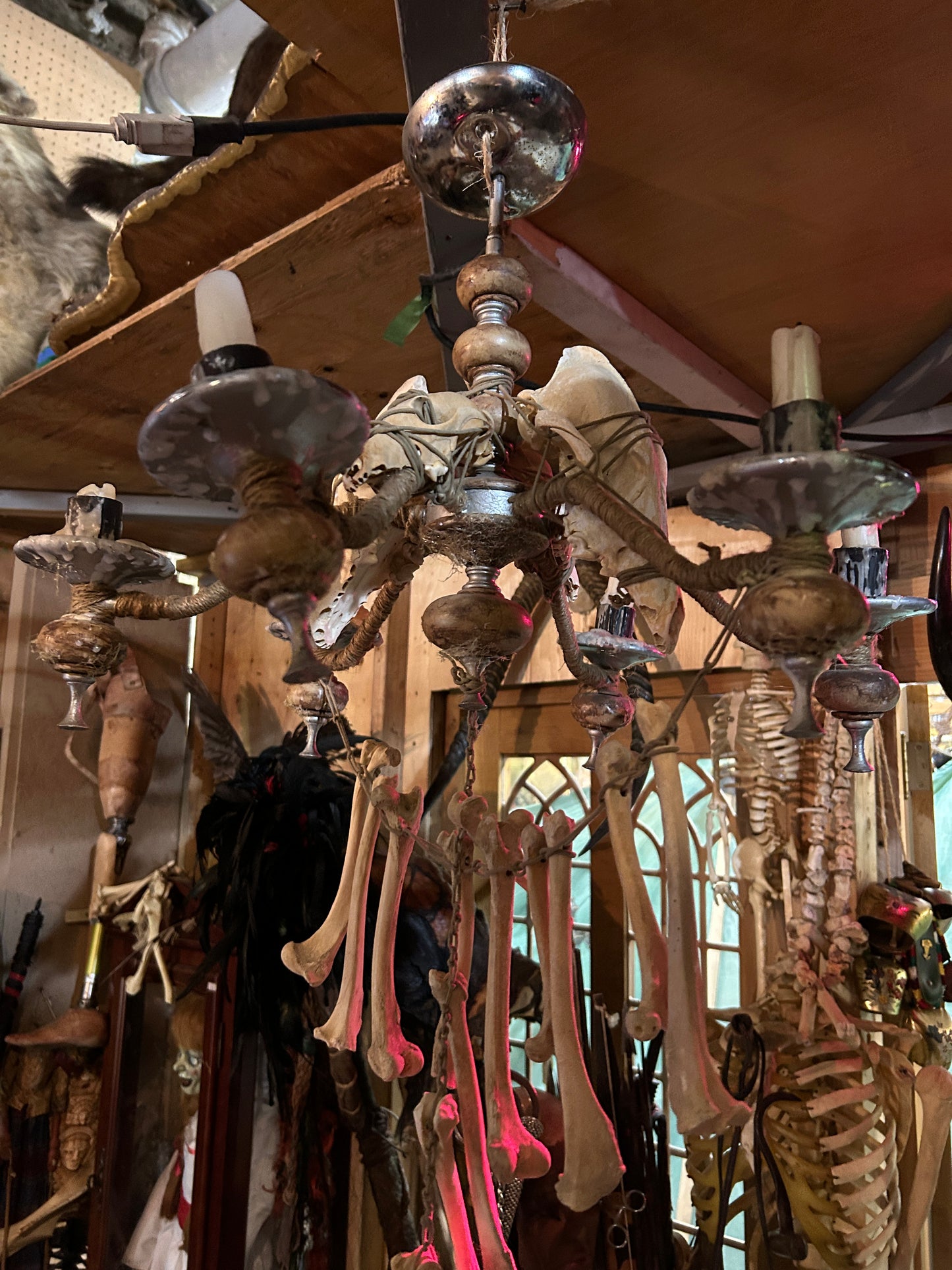 Lustre osseux créé par l'artiste Jordan St-Louis