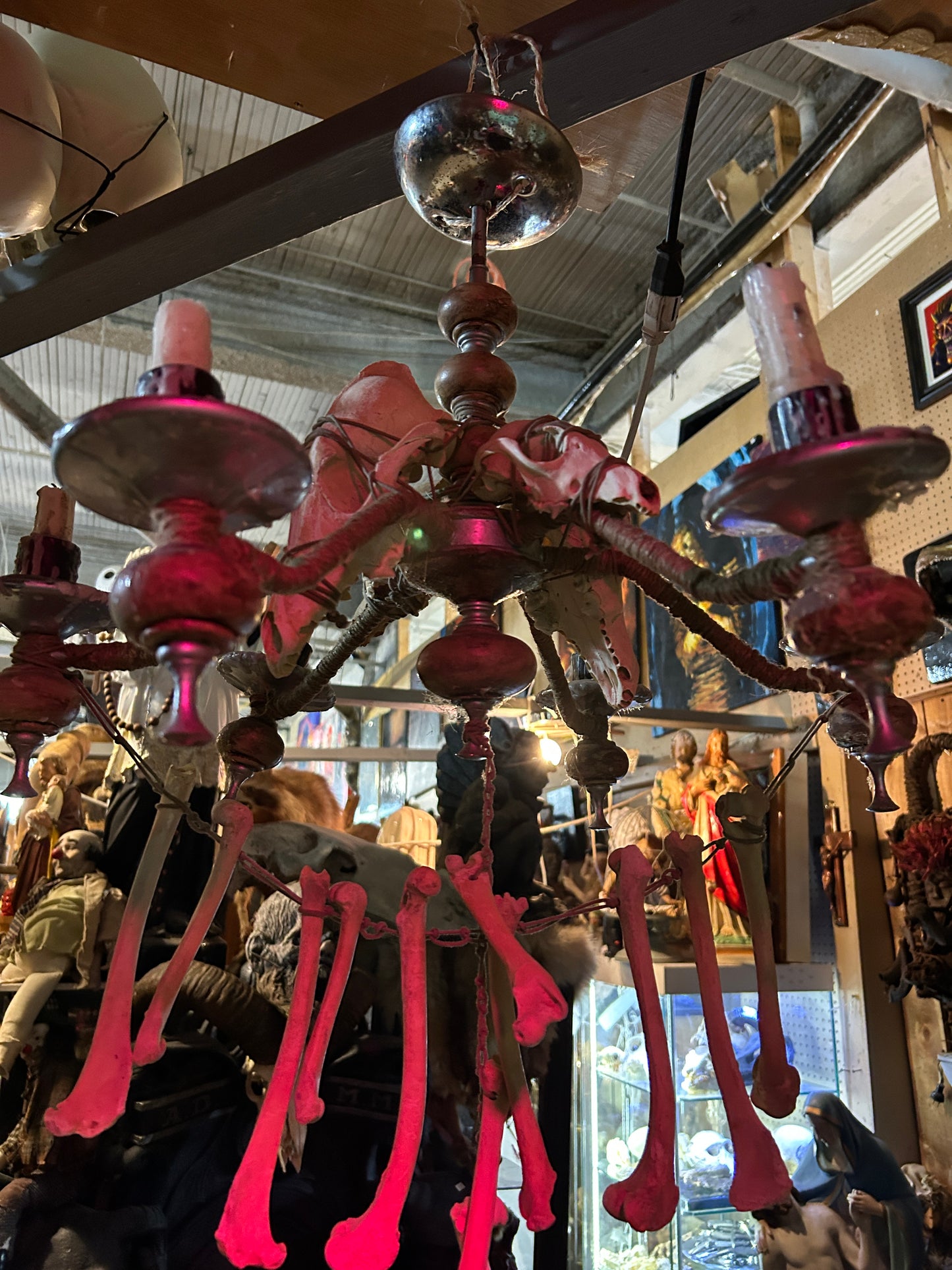 Lustre osseux créé par l'artiste Jordan St-Louis