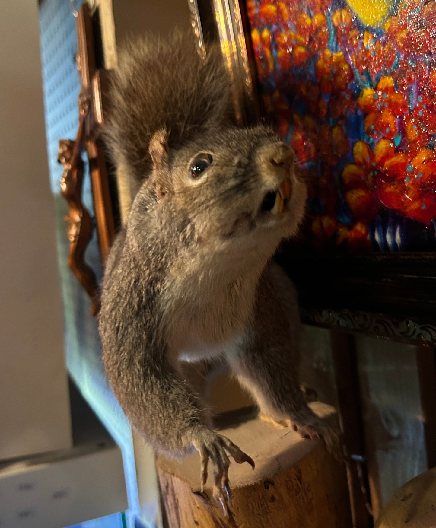 Taxidermie écureuil sur bûche de bois.