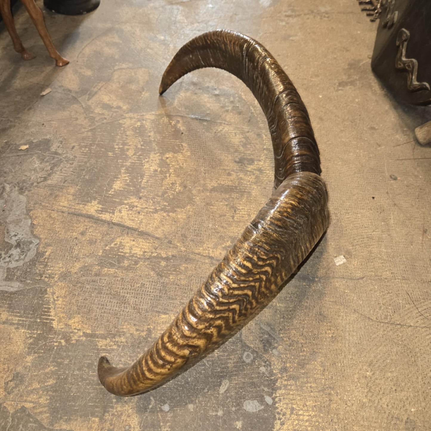 Cornes de mouflon