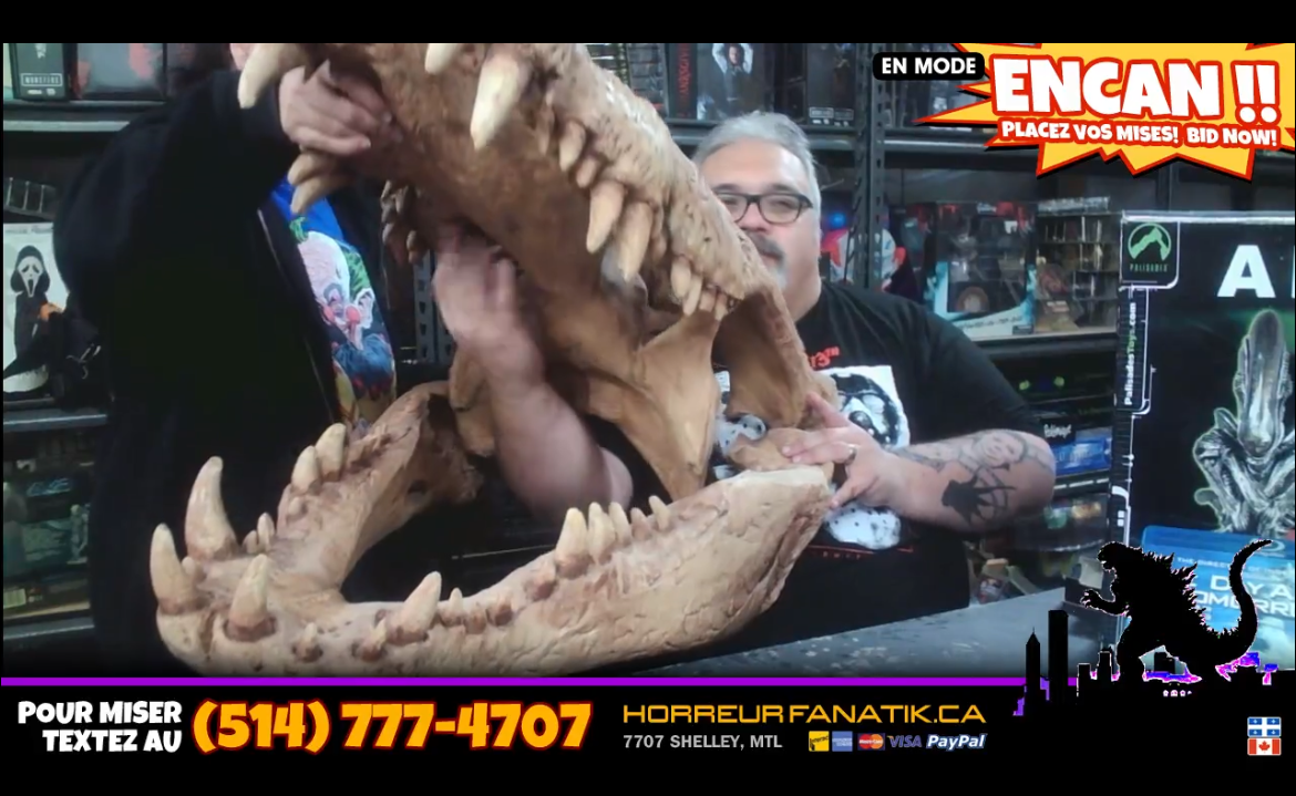 Immense Moulage Crâne Crocodile