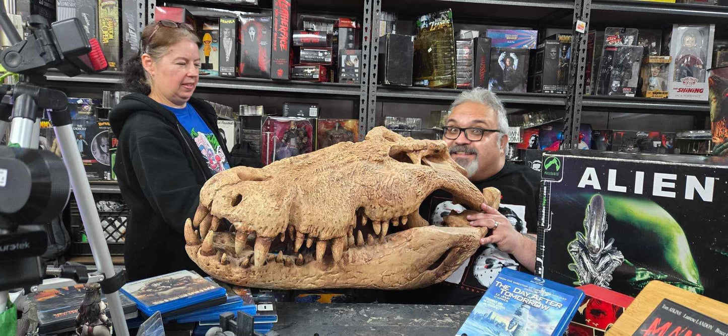 Immense Moulage Crâne Crocodile