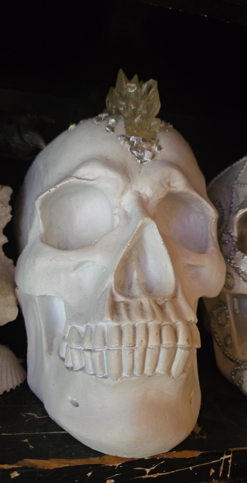 Crâne en plastique