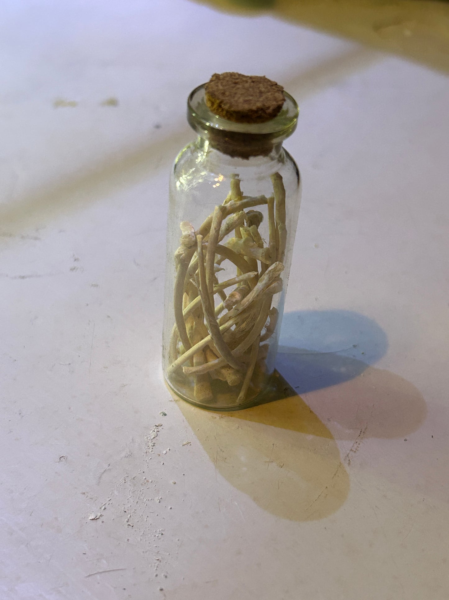 Fioles Apothicaires Antiques Variées