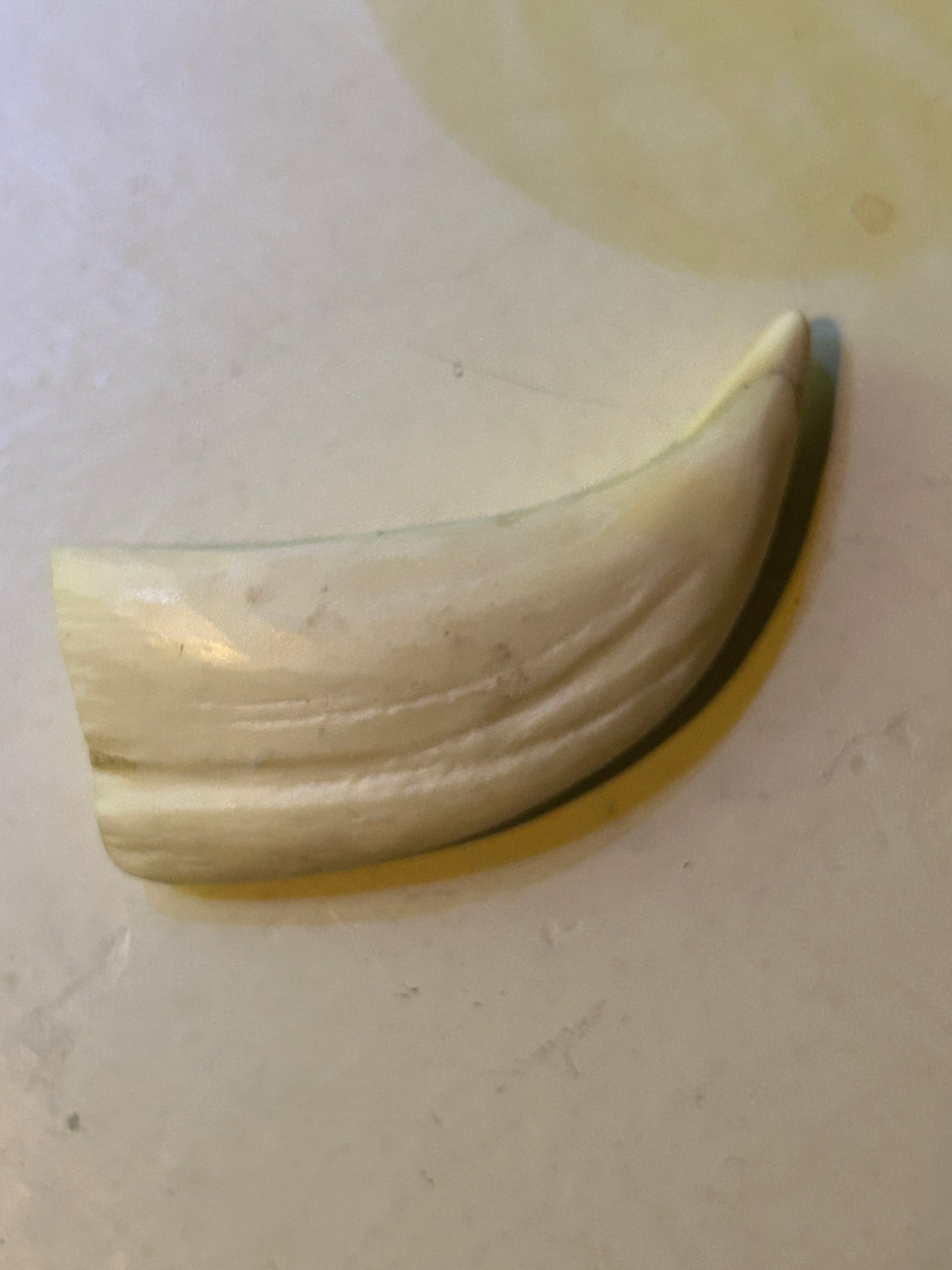 Dents de Cachalot