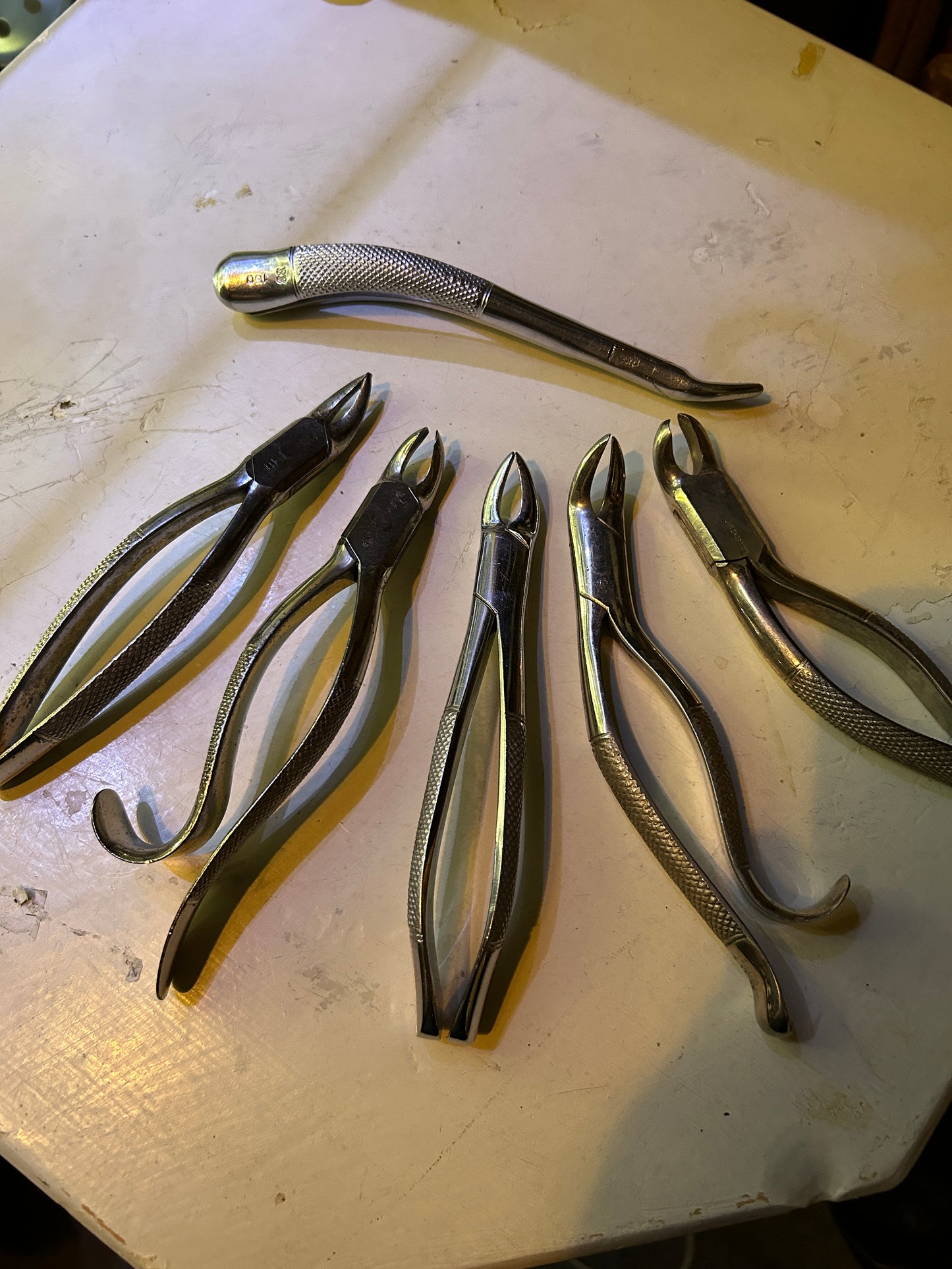 Pinces vintages pour molaires