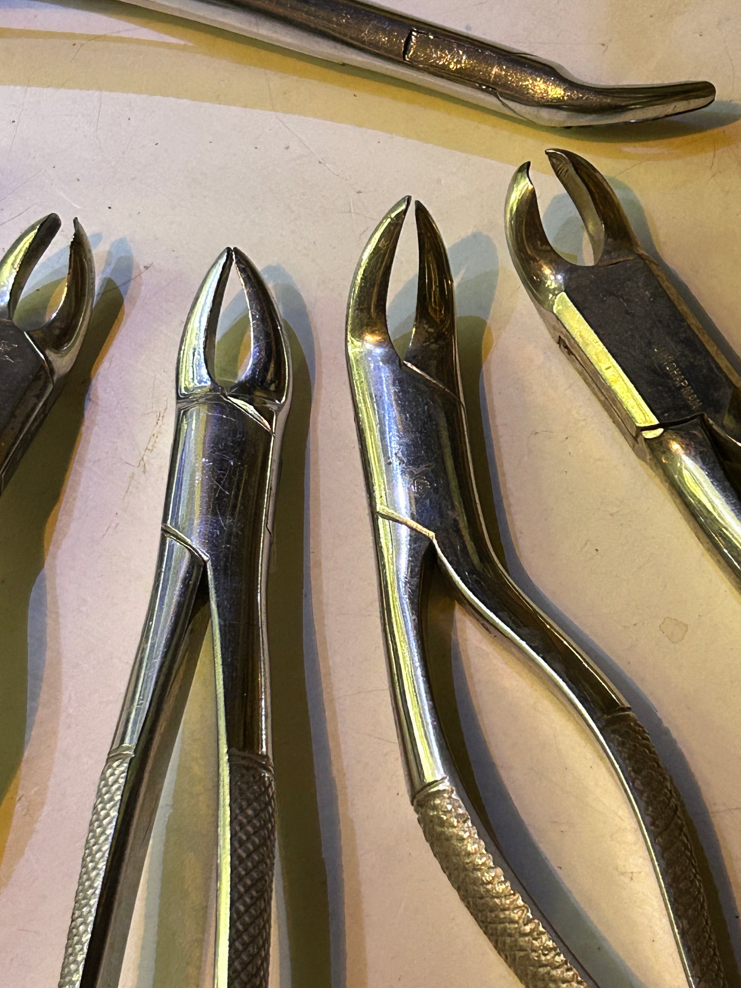 Pinces vintages pour molaires