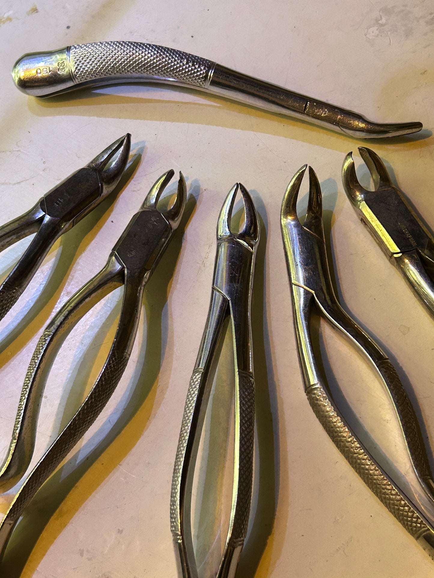 Pinces vintages pour molaires