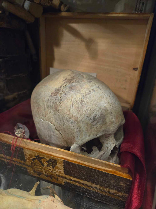 Très vieux crâne antique médical.