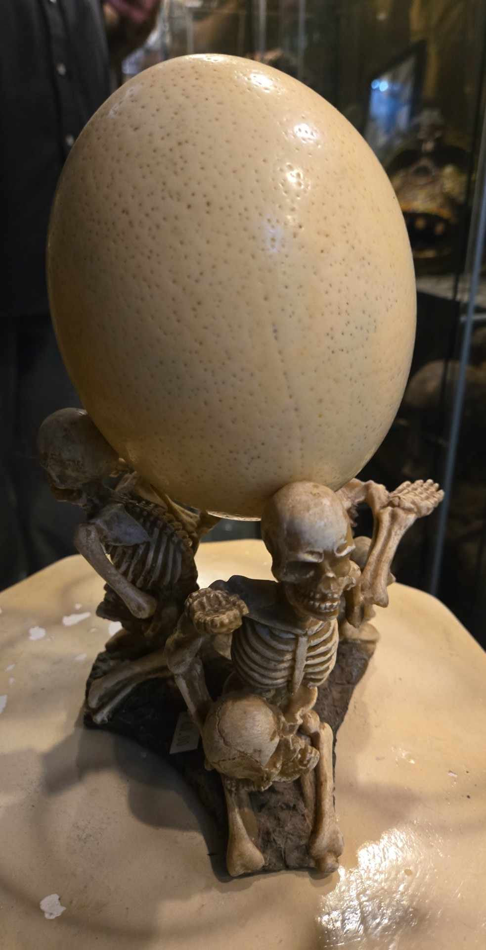 Oeuf d'Autruche sur Socle