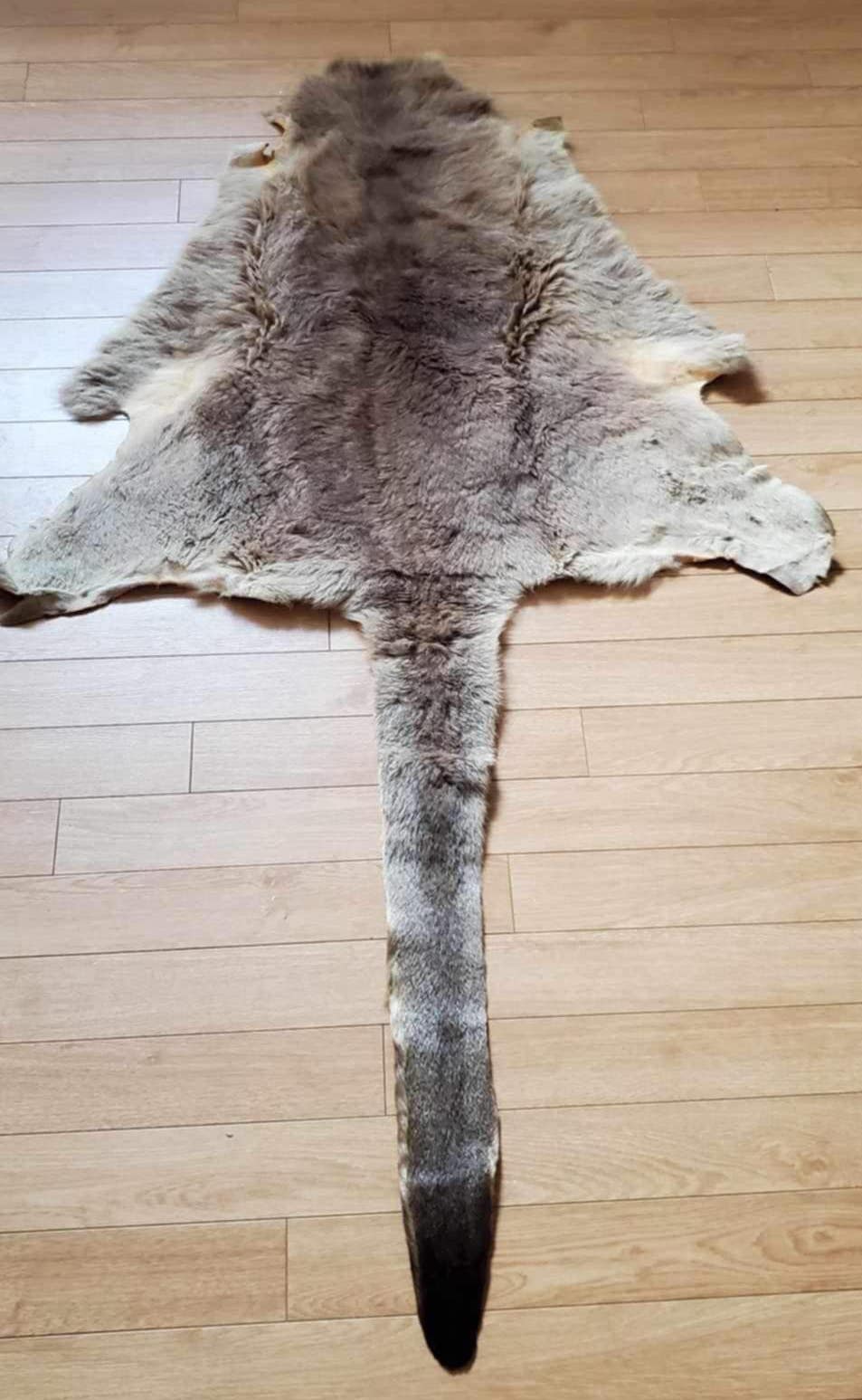 Peau de Kangourou.