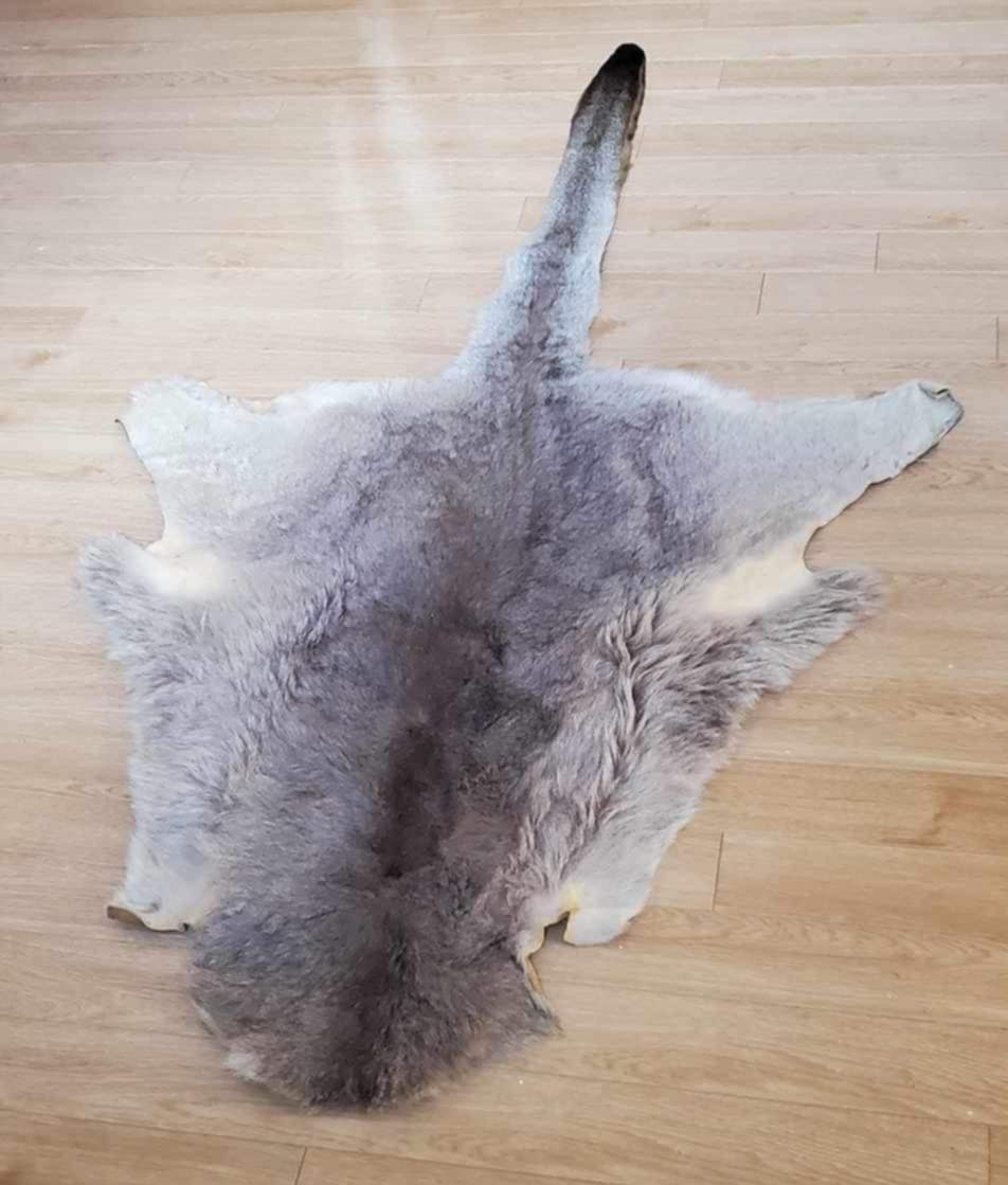 Peau de Kangourou.