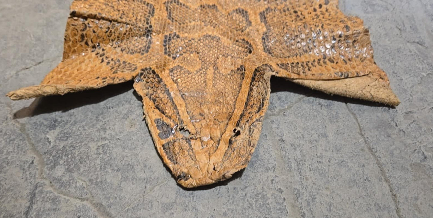 Peau d'anaconda