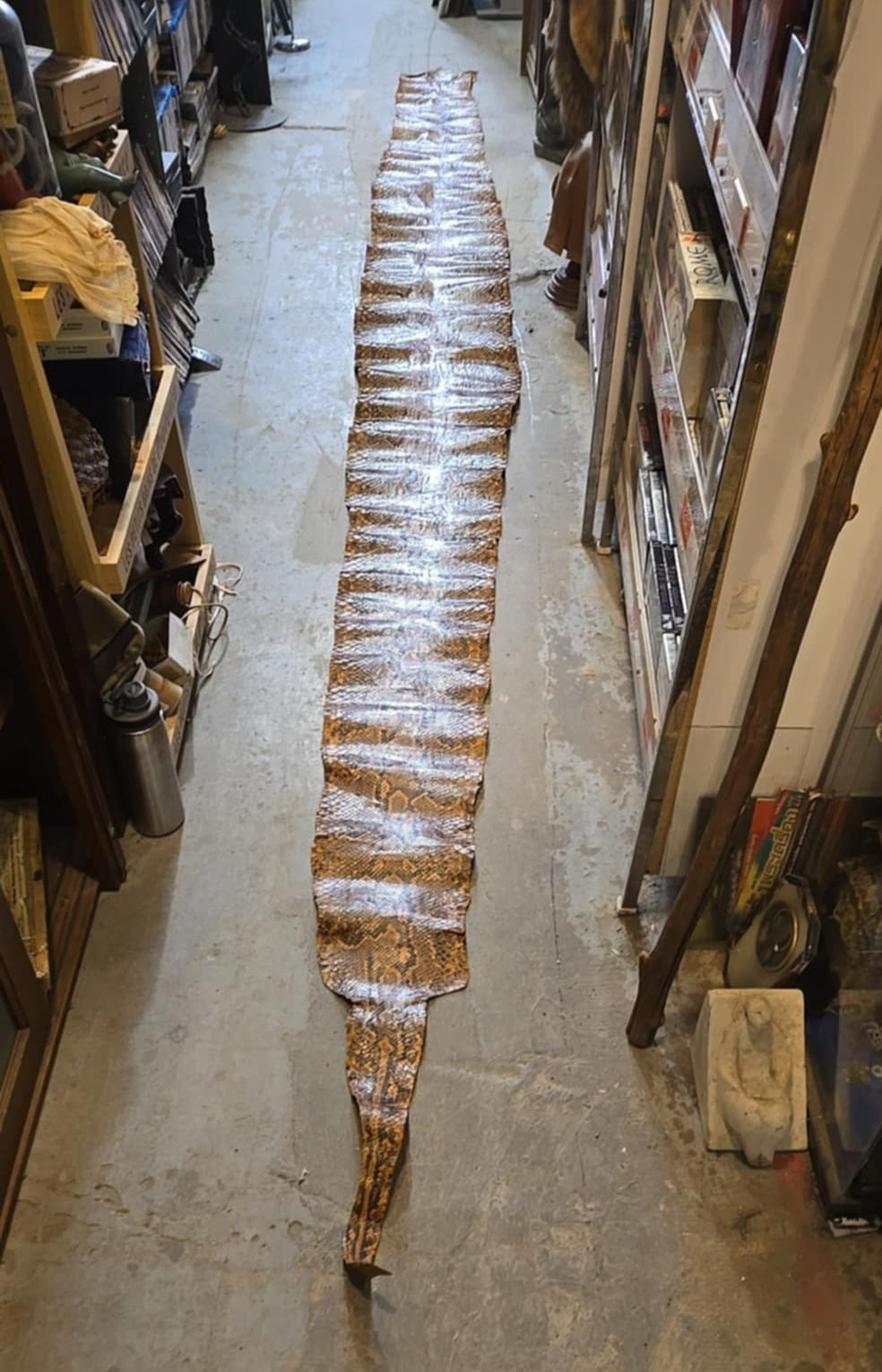 Peau d'anaconda