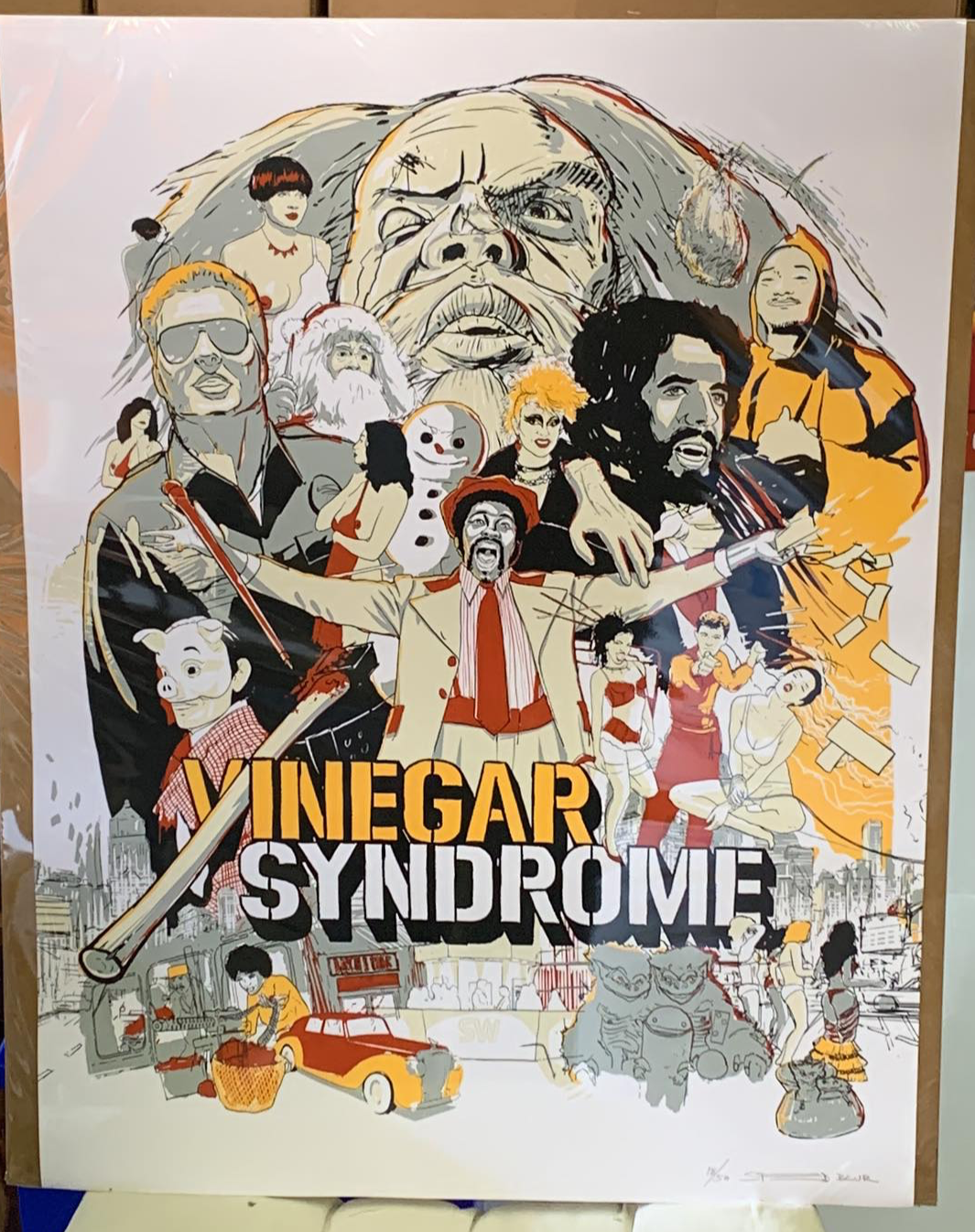 Affiche Vinegar Syndrome