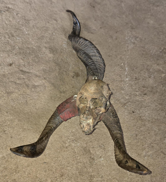 Fétiche vaudou camerounais unique antique