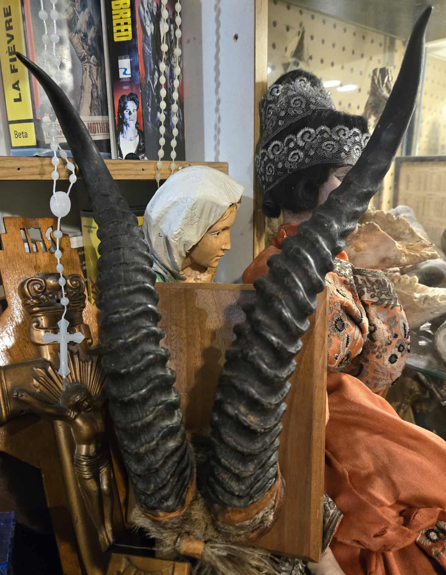 Cornes d'antilope antique