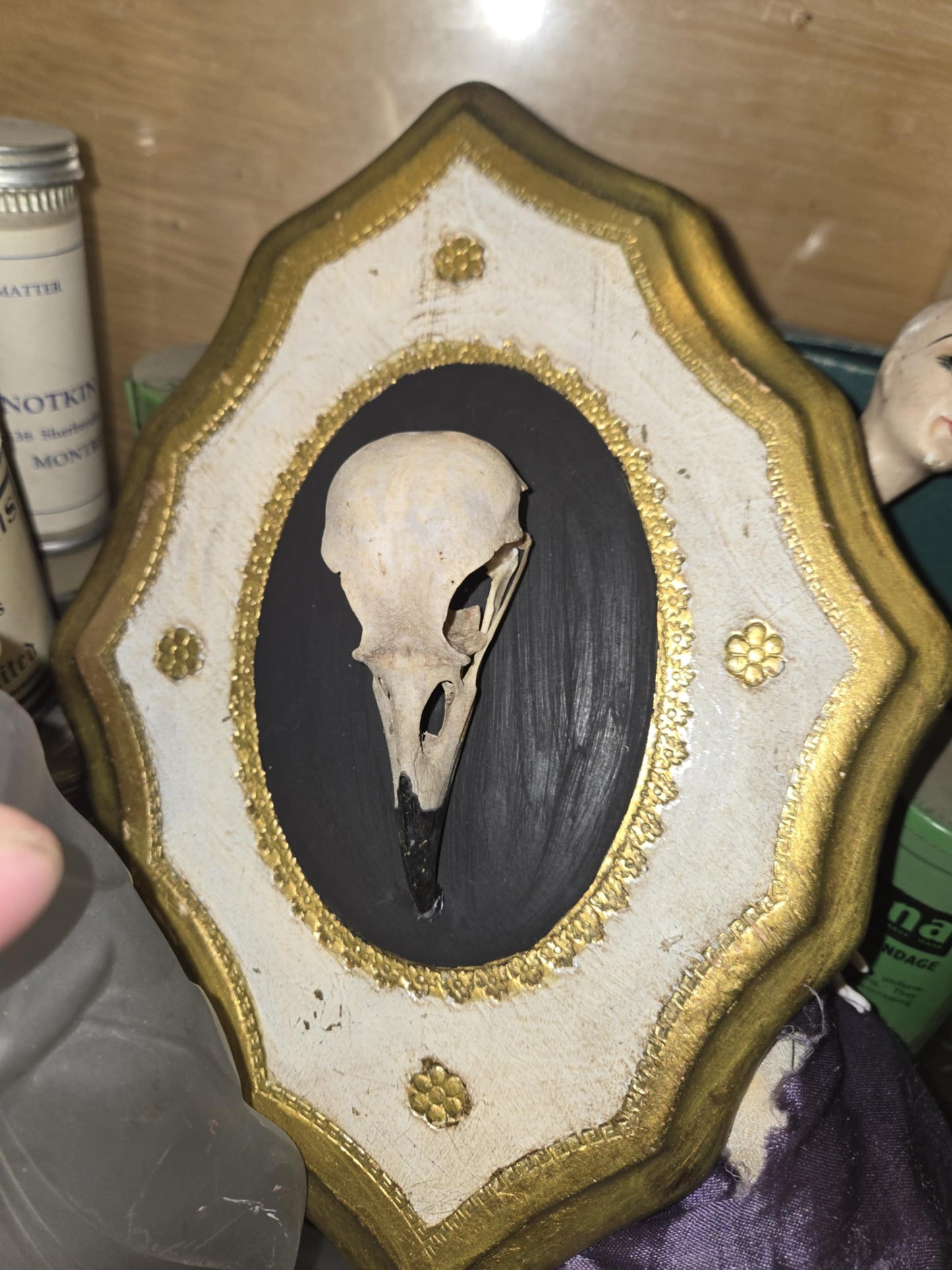 Cadre avec crâne de corbeau