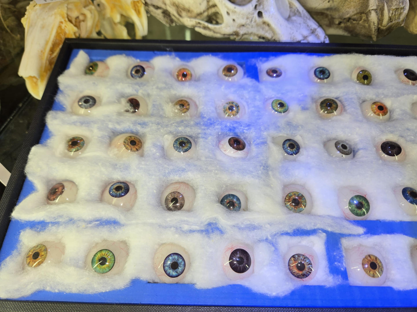Collection complète de prothèses oculaires antiques