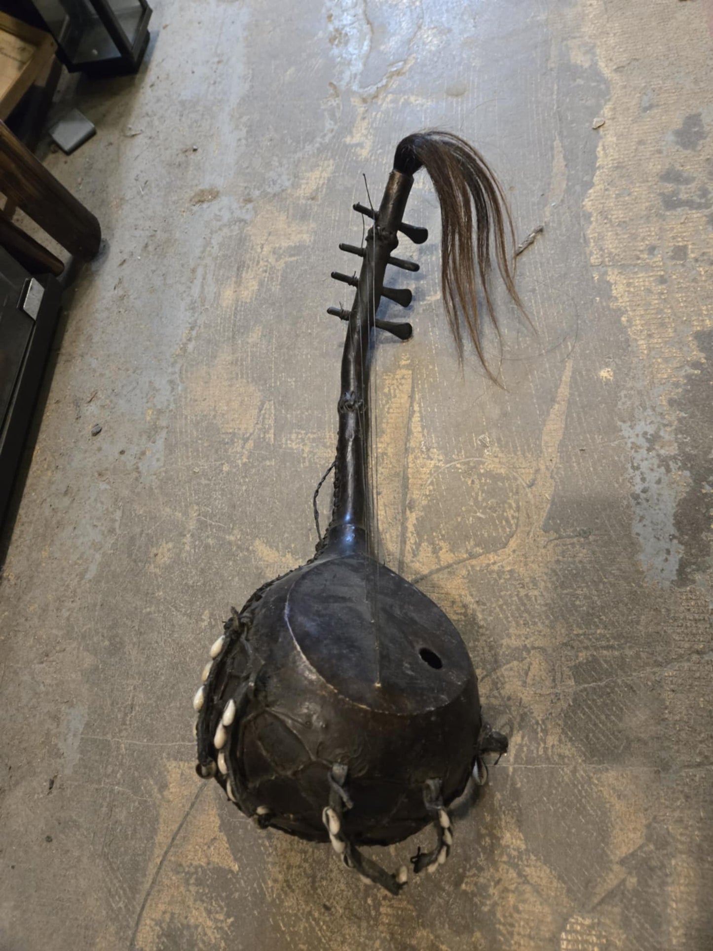 Guitare courge à boucles ramifiée africaine