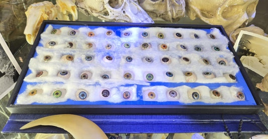 Collection complète de prothèses oculaires antiques