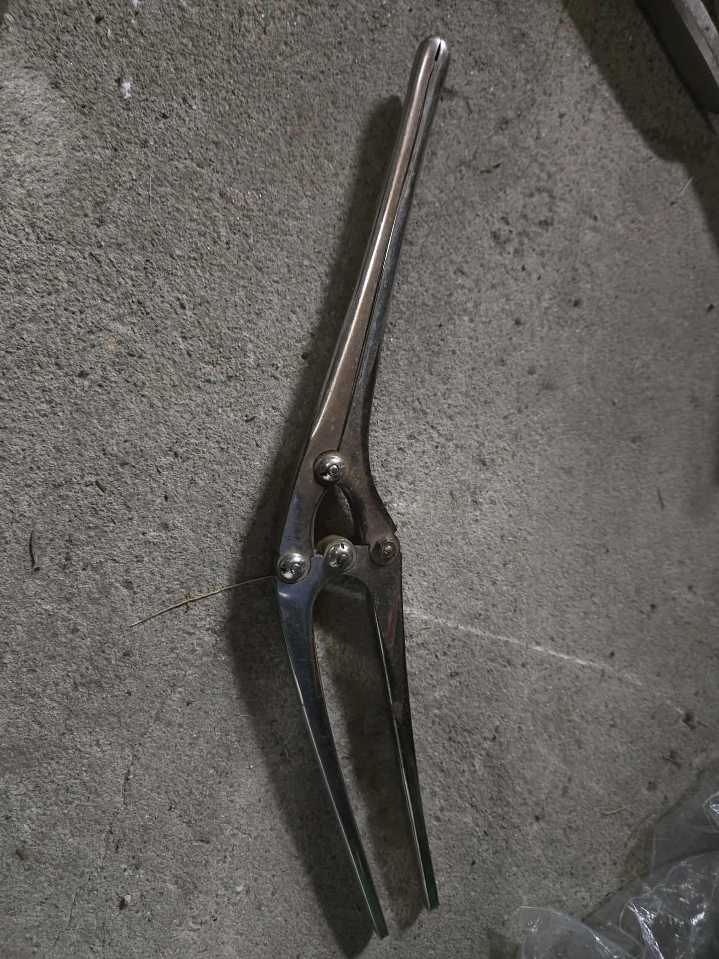 Pince chirurgicale Payr Pylorus