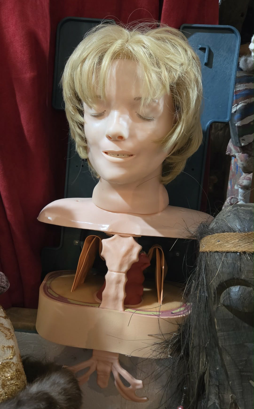Buste d'entrainement vintage "Anatomic Anne" de Laerdal