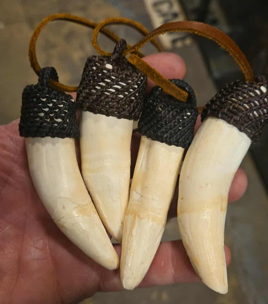 Dents de crocodile en pendentif