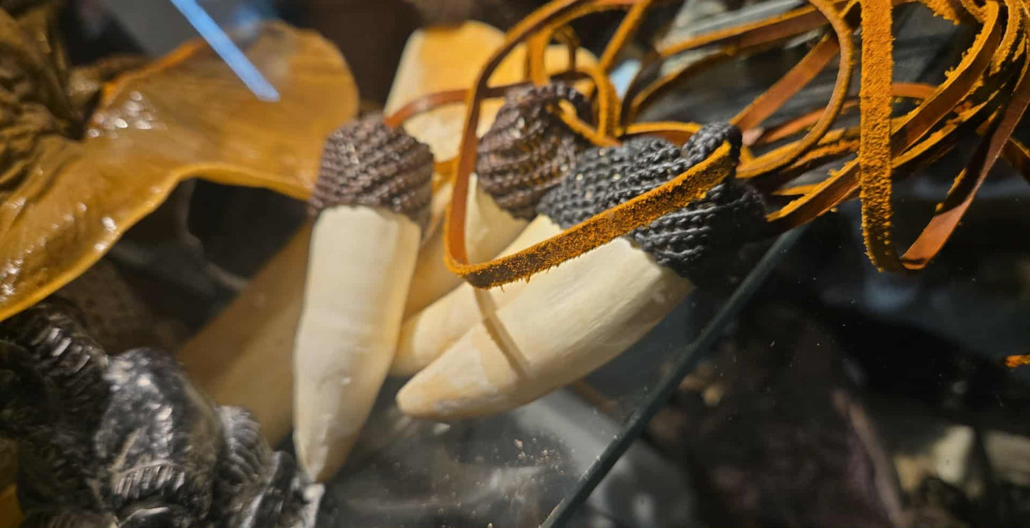 Dents de crocodile en pendentif