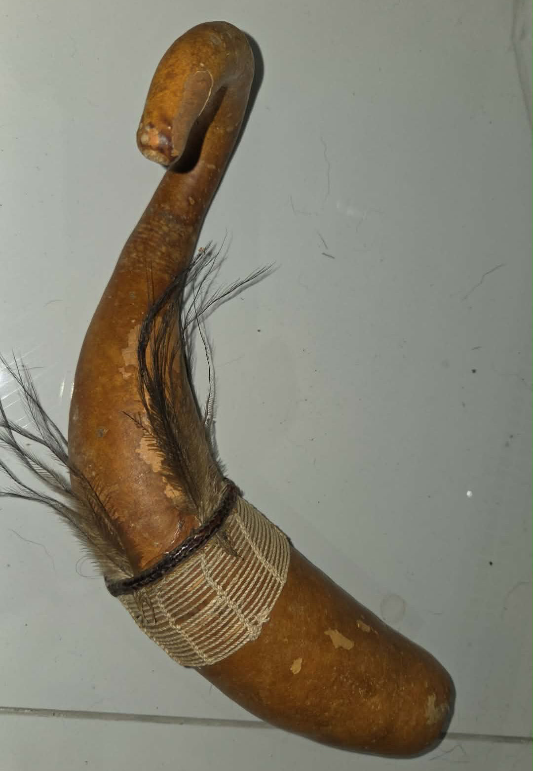 Étui pénien traditionnel avec plumes.