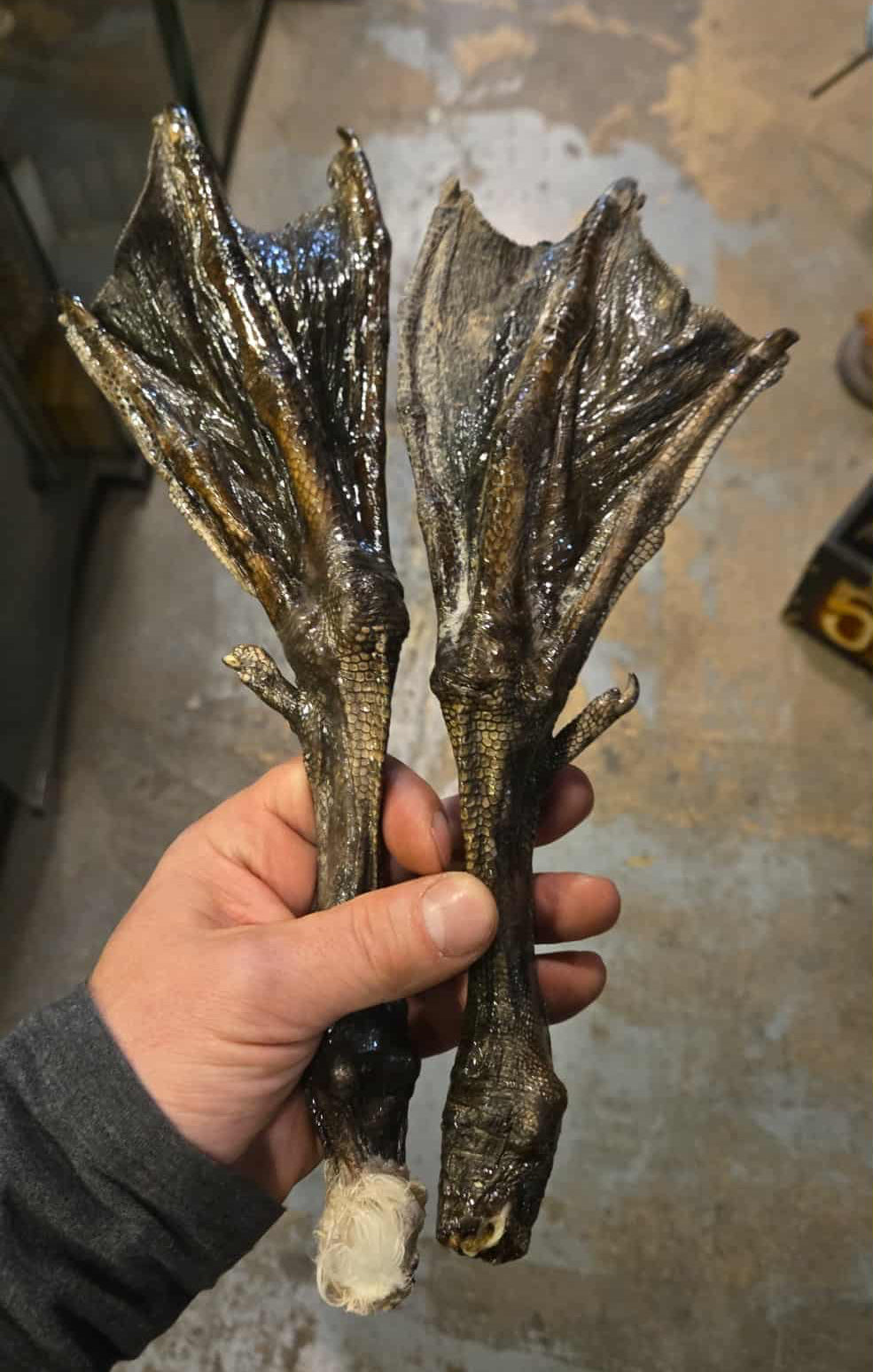 Pattes d ois déshydratées