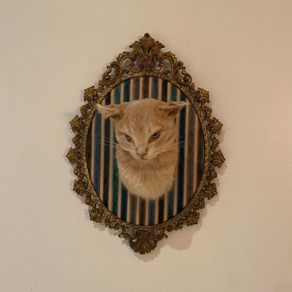 Taxidermie vintage tête de chat encadrée