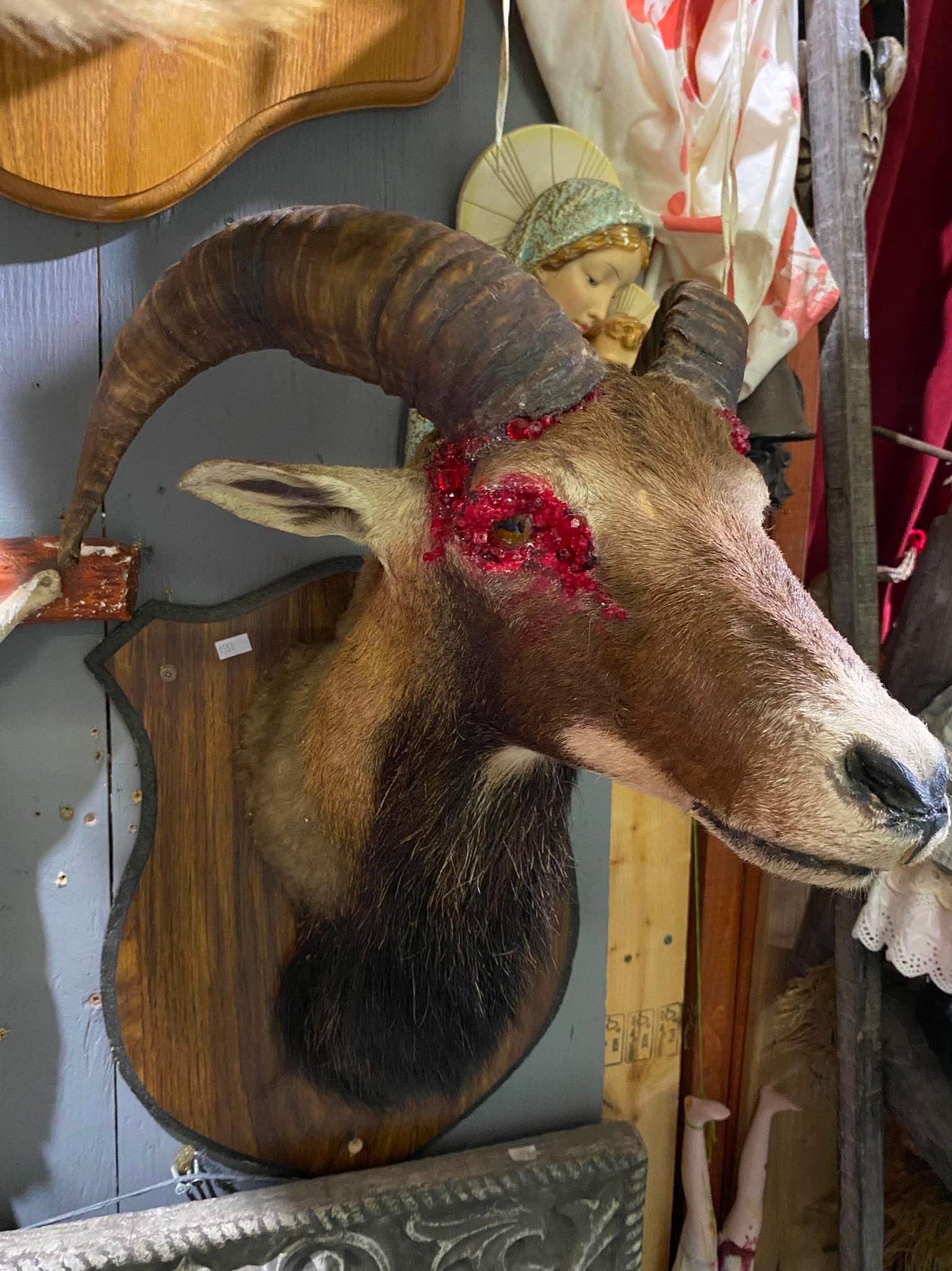 Sculpture taxidermie chèvre des montagnes