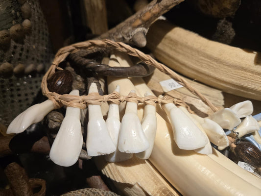 Collier de dents de vache