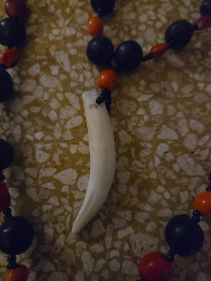 Collier de protection, dent de sanglier d'Amazonie.