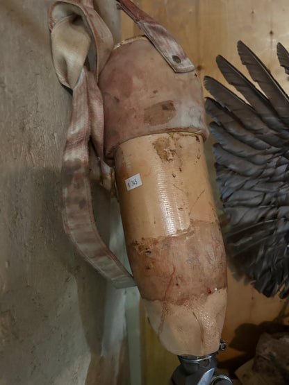Prothèse jambe gauche