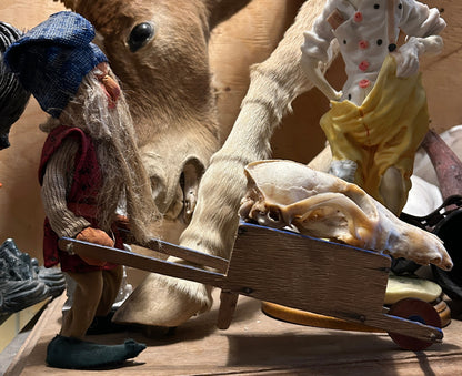 Gnome transportant un crâne de renard