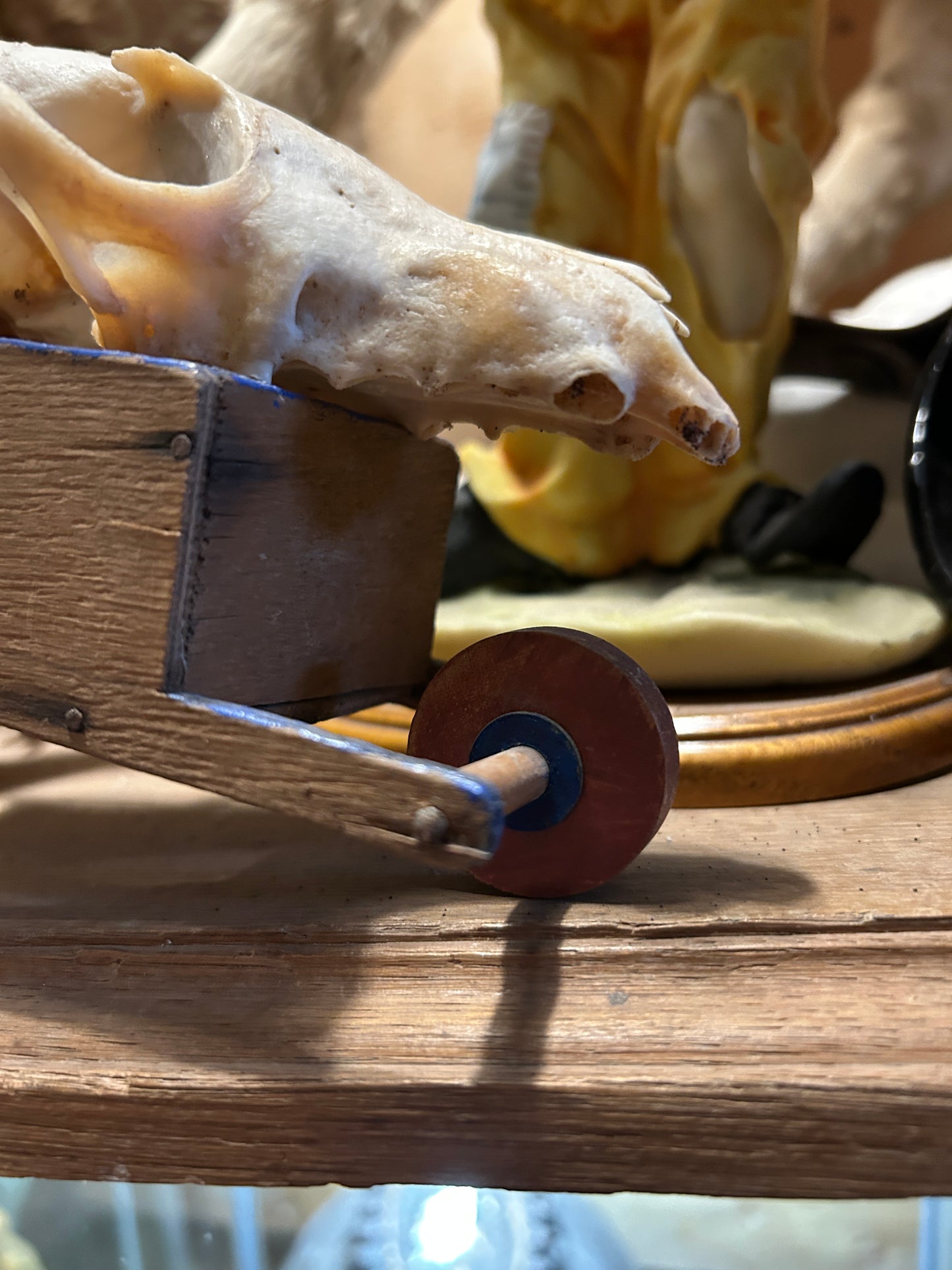 Gnome transportant un crâne de renard
