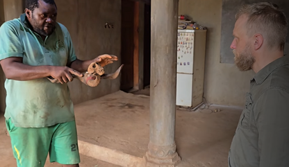 Fétiche vaudou camerounais unique antique