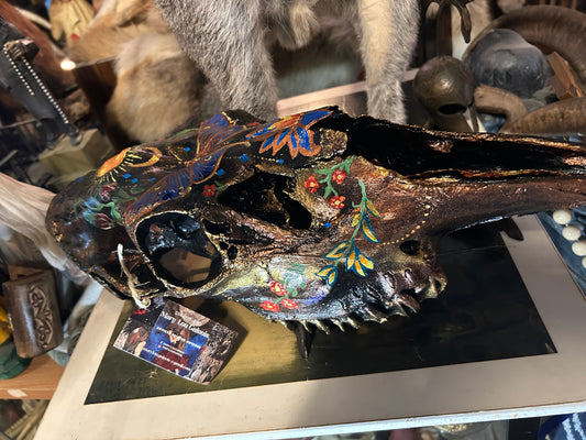 Peinture originale sur crâne de vache par Mary Lou Guinois