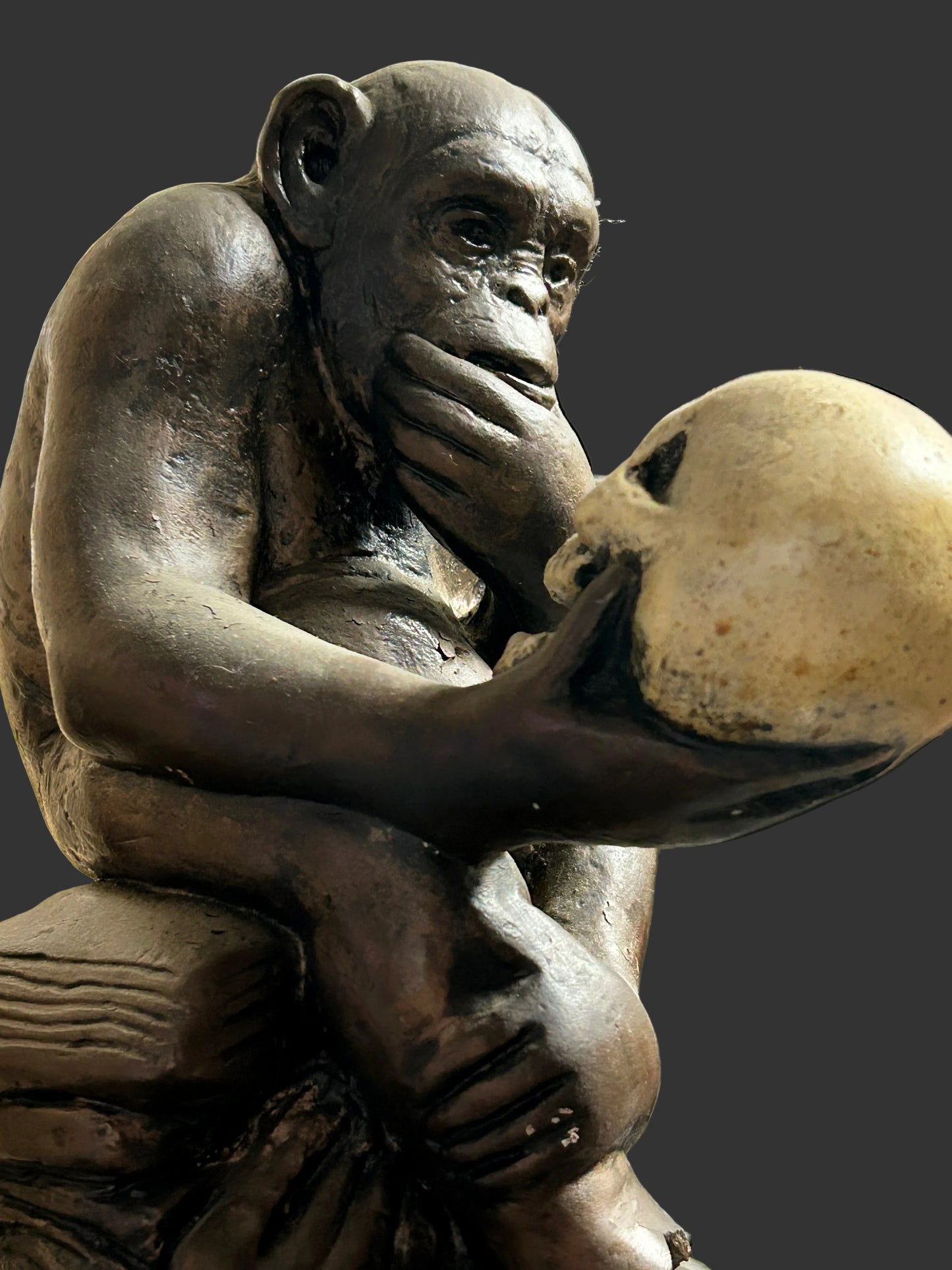 Statue en plâtre, singe pensant.