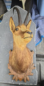 Taxidermie de tête de chamois