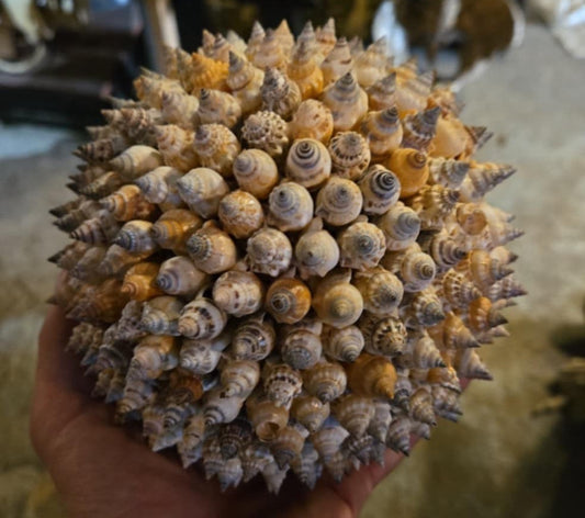 Boule de coquillages