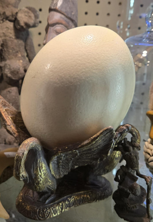Oeuf d'autruche vide