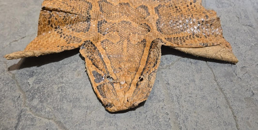 Peau d'anaconda