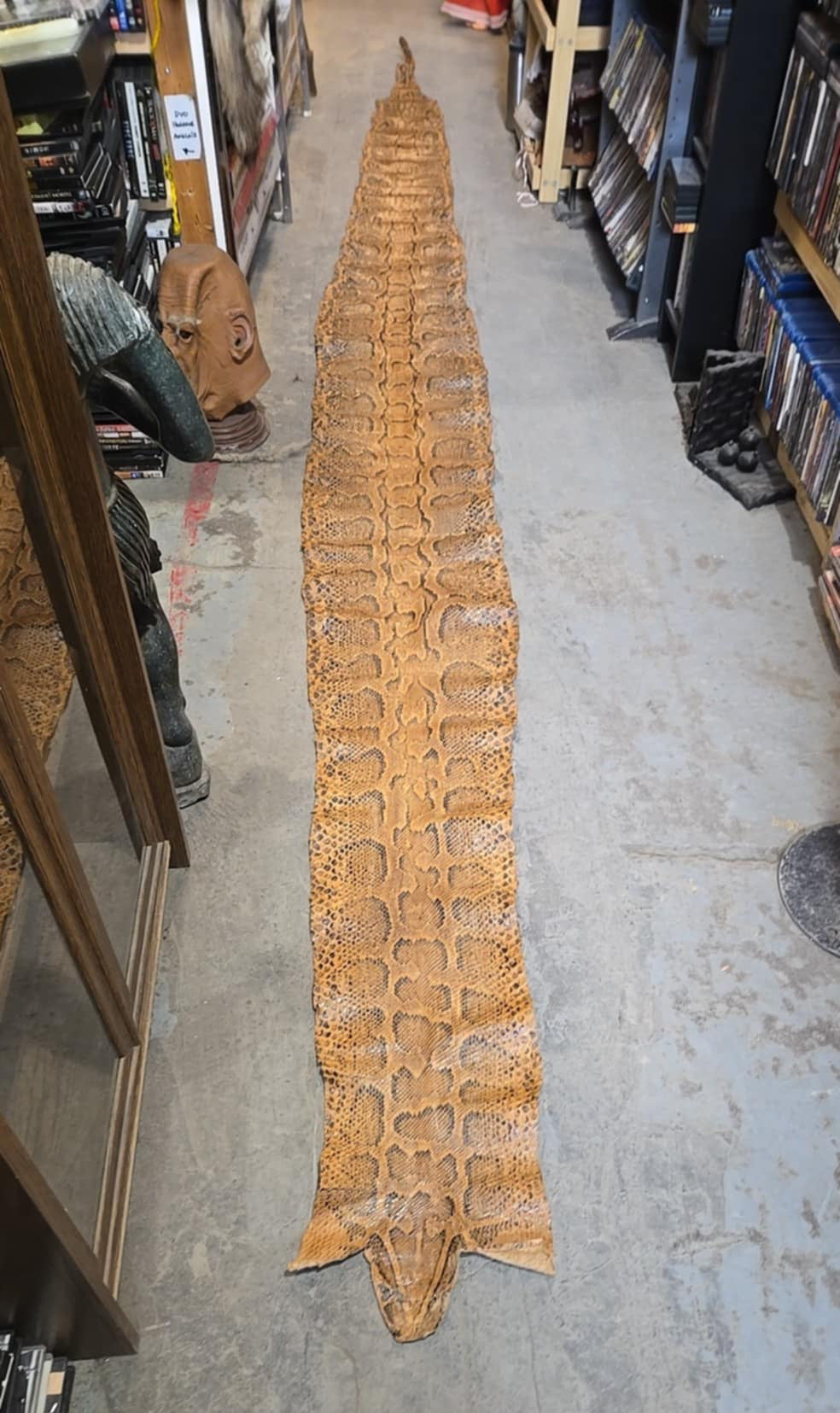 Peau d'anaconda