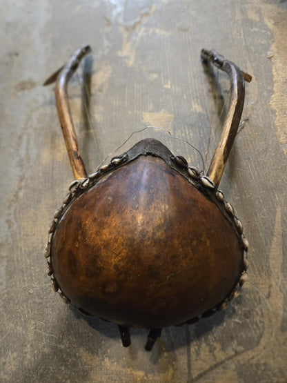 Guitare courge Bolon Calabash africaine